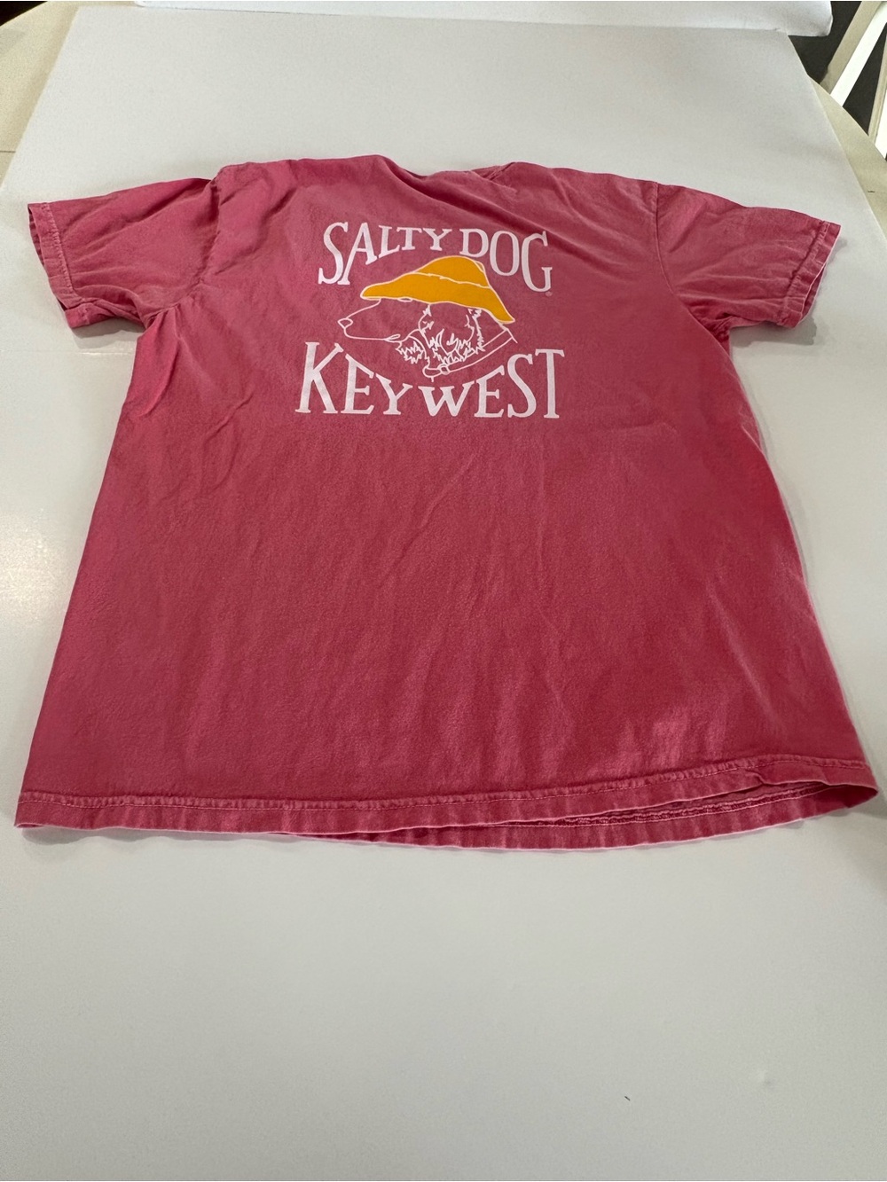 Comfort Colors Salmon Pink Short Sleeve Tee, Salty Dog Key West - Picture 9 of 10